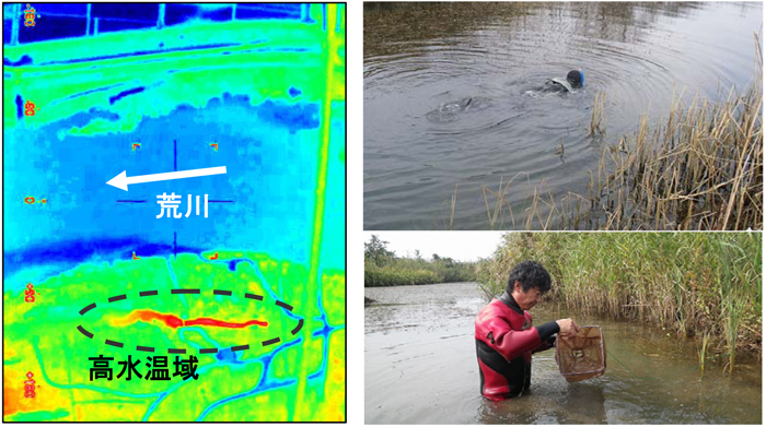 北陸地方整備局 羽越河川国道事務所
荒川自然再生計画検討業務（局長表彰）イメージ