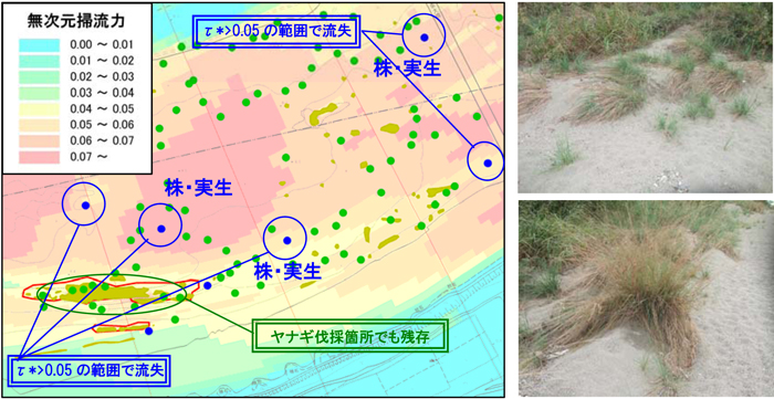 四国地方整備局 徳島河川国道事務所
吉野川水系環境検討業務委託イメージ