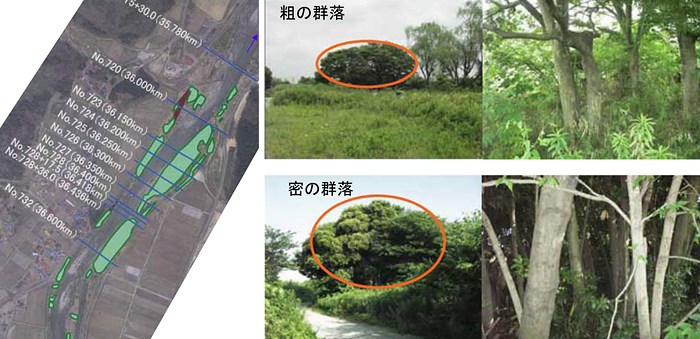 福島県南会津建設事務所
河道検討業務（河川維持管理）イメージ