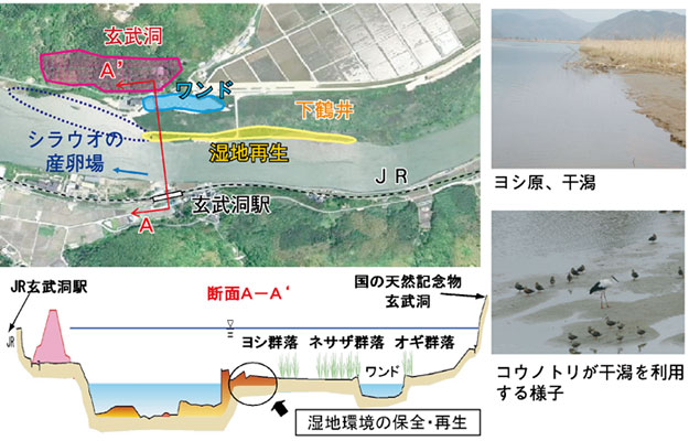 近畿地方整備局 豊岡河川国道事務所
円山川河川整備技術的検討整理（その5）業務イメージ