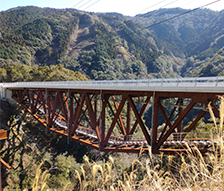 国道219号岩下工区橋梁詳細設計業務（上路トラス橋）