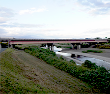 東名高速道路（特定更新等）太田川橋鋼橋補強基本設計