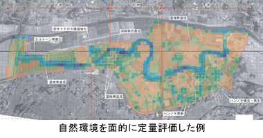 自然環境を面的に定量評価した例