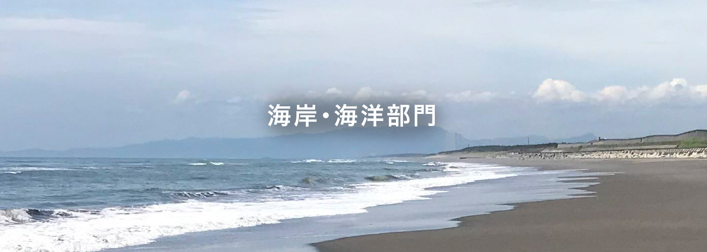 海岸・海洋部門