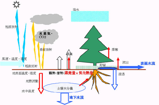 図　結合モデルの例(地表面の物理過程)