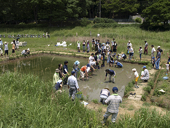 「田んぼ」における自然ふれあい活動（田植え）