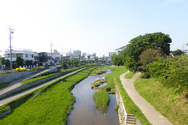 伊賀川下流 河道改修全景