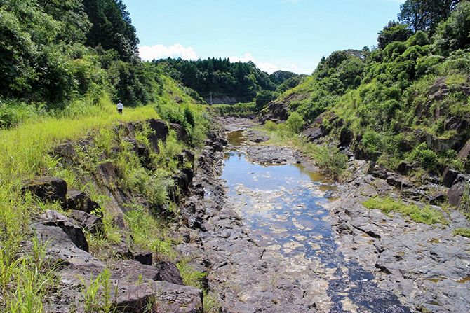 良好な景観や多様な環境が創出されている激特事業で整備した分水路内（令和3年7月撮影）