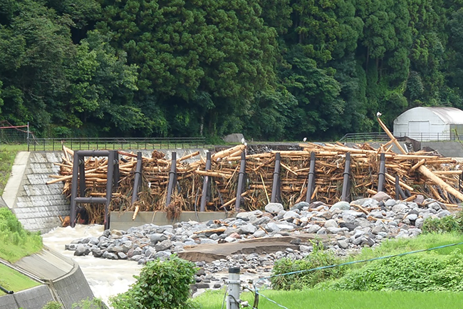 R5.7出水後における流木の捕捉状況 （下流・正面側より撮影）